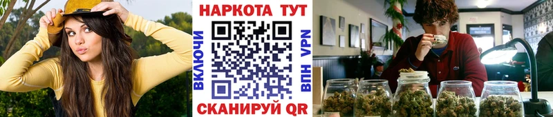 Меф Стародуб