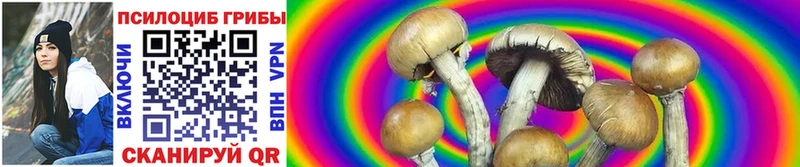 Купить где  Стародуб  Галлюциногенные грибы GOLDEN TEACHER 